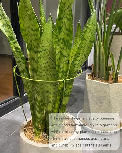 5 Pack Plant Support Stakes, Adjustable Plant Ring Cages with Green Rubber Wrapping, Ideal for Orchids, Indoor and Outdoor Potted Plants, 6" Wide x 11" High - size: 6" Wide x 11" High