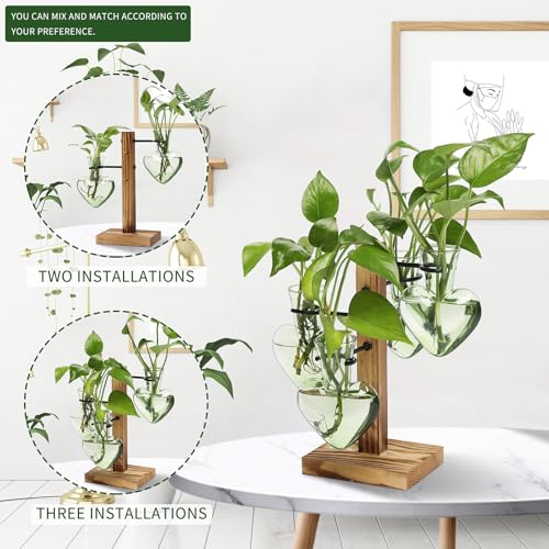 Plant Terrarium Propagation Stations with Wooden Stand - color: Green