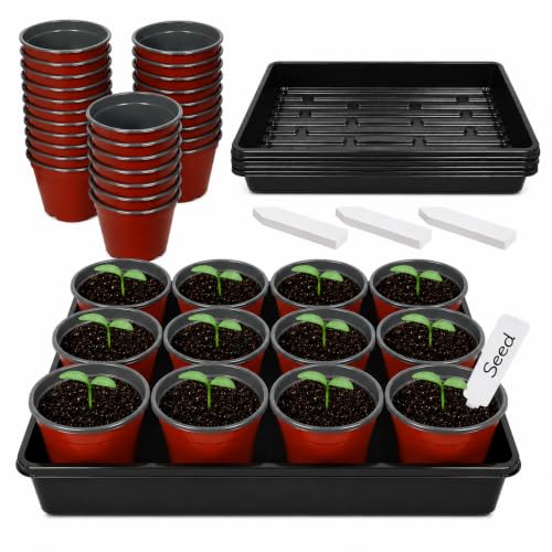 60pcs 3.5 inch Plastic Nursery Pots and 5 Pack Seedling Tray - size: Lightweight Trays+Red Round Pots-5P