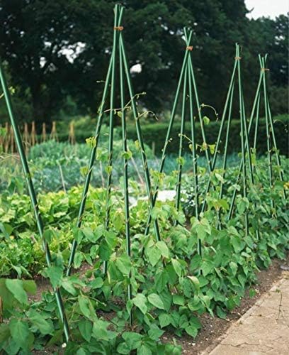 6ft Garden Stakes for Climbing Plants Supports, 20 Pack Solid Fiberglass Plant Sticks, Rust-Free Fence Posts, 5/16'' Diameter, 72inch Dark Green