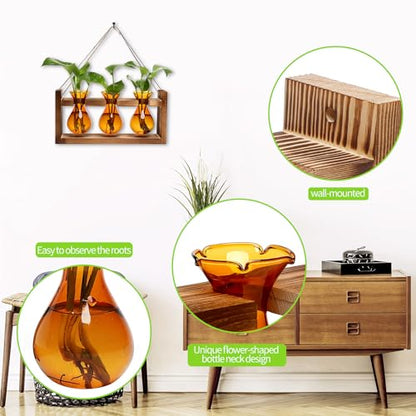 Plant Propagation Station Plant Terrarium Unique Birthday Gifts for Women - color: Amber