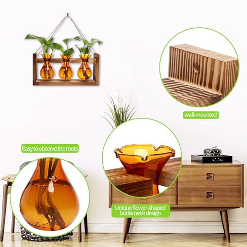 Plant Propagation Station Plant Terrarium Unique Birthday Gifts for Women - color: Amber