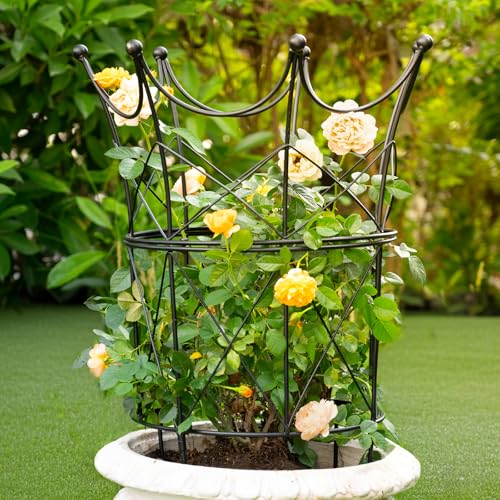 Peony Supports for Outdoor Plants,18.5 x 22.9in Dahlia Stakes - color: Black, size: 22.9"x18.5"