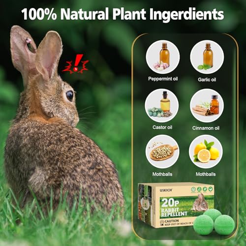 Rabbit Repellent Outdoor,20 Pack Natural Peppermint Oil Rabbit Repellent - color: Green-rabbit