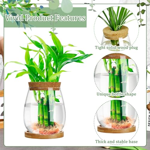 6 Pcs Glass Plant Propagation Station with Wood Lid & Stand, Classic Style - style: Classic