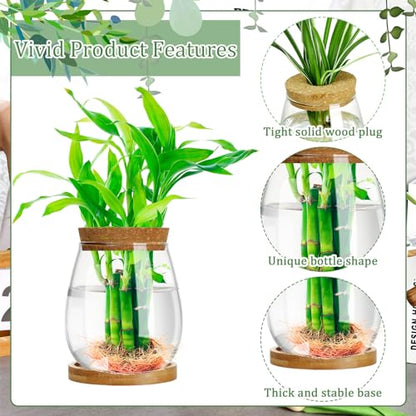 6 Pcs Glass Plant Propagation Station with Wood Lid & Stand, Classic Style - style: Classic