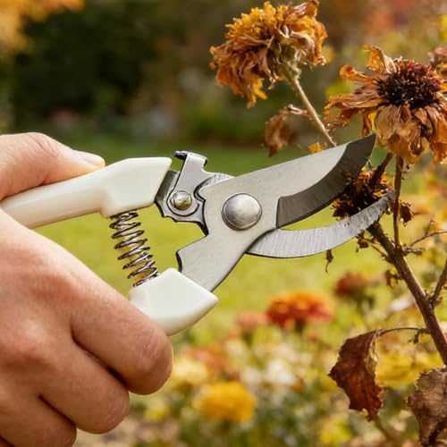 1Pcs Professional Gardening Scissors Stainless Steel Pruning Branches Fruit Trees Flowers Household Pruning Tools Lvory White (Elbow,17x5x1.5cm) - color: Elbow,17x5x1.5cm