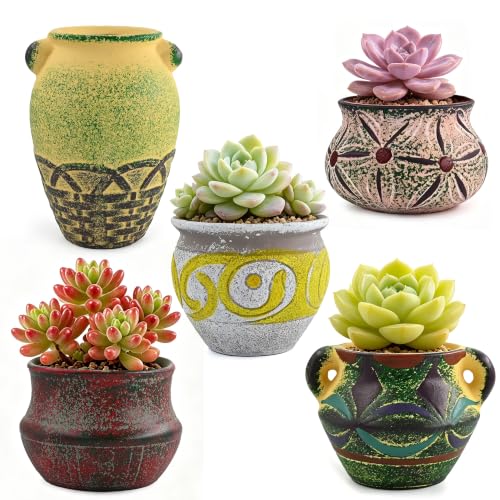 Succulent Planter Ceramic Garden Pots Mediterranean Small Plant Container with Drainage Set of 5 for Home Office Decor - color: A Set of 5