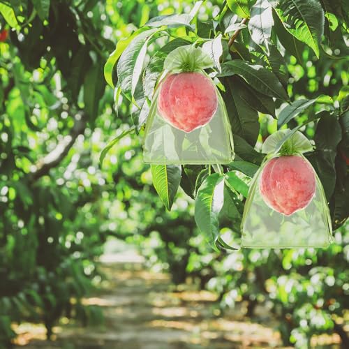 50 PCS 4X6 inches Fruit Protection Bags, Fruit Bags for Fruit Trees - size: 4X6