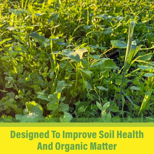 All Purpose Garden Cover Crop Seed Mix for Planting - 15 Seed Blend for Raised Beds & Gardens - Improves Soil & Organic Matter - Easy to Grow (1 lb = 600 to 750 Sq Ft) - size: 1 lb = 600 to 750 Sq Ft