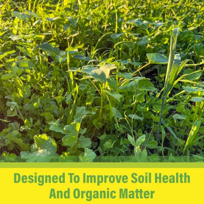 All Purpose Garden Cover Crop Seed Mix for Planting - 15 Seed Blend for Raised Beds & Gardens - Improves Soil & Organic Matter - Easy to Grow (1 lb = 600 to 750 Sq Ft) - size: 1 lb = 600 to 750 Sq Ft