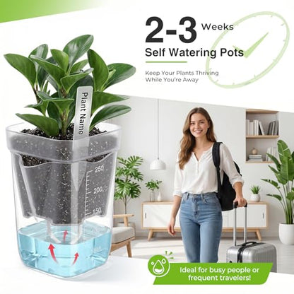 12 Pack 2.5 Inch Self Watering Pots for Indoor Plants, Clear Plastic Propagation Cups with Wick and Plant Labels for African Violets, Semi Hydro Pots,Small Seed Starter Cups, Bottom Watering Planters