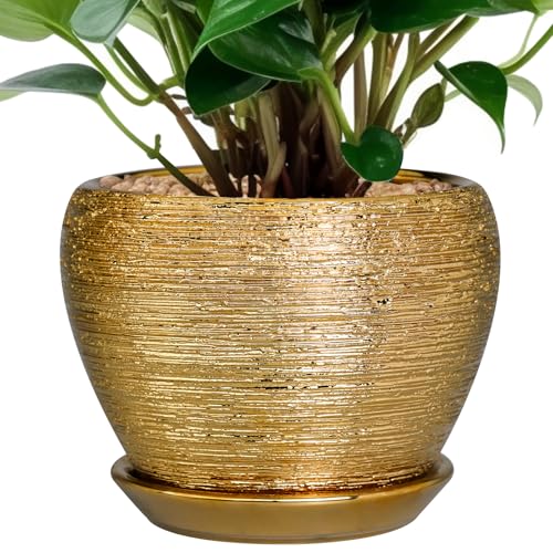 Ceramicfor Indoor Plant Pot 6 Inch - Ceramic Pot for Plants Outdoor Planter with Drainage Hole and Saucer Round Decorative Planter Modern Flower Pot for Home Decor Gold - color: Gold, size: 6 Inch