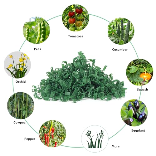 Plant Support Clips, Tomato Clips for Trellis & Climbing Plants, 100PCS - color: Green