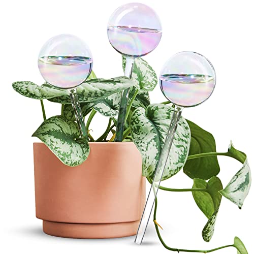 Tomorotec 3Pcs Rainbow Glass Plant Watering Globes, Self Watering Spikes - color: Iridescent 3-Pack