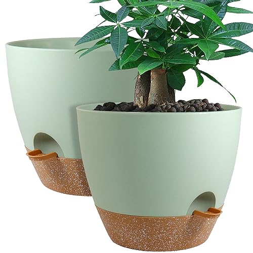 UOUZ 12inch 2Pack Large Self Watering Planters, Plastic Plant Pots with 60oZ Removable Deep Reservoir and Multi Mesh Drainage Holes for Indoor Outdoor Garden Plants and Flowers, Green with Brown - color: Green With Brown