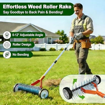 Adjustable Thatch Rake with Wheels - 38"-65" Handle, 21 & 11 Dual-Sided Steel Tines, Heavy-Duty Lawn Dethatching Rake for Cool & Warm Season Grass, Landscape and Lawn Care