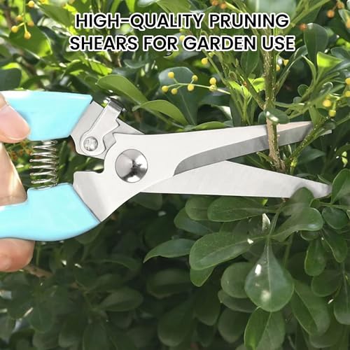 Blue Straight Blade Stainless Steel Pruners - Rustproof Branch Cutter with Comfortable Non-Slip Grip - color: Blue, size: Straight mouth