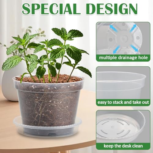 12 Pack 7 Inch Clear Nursery Pots with Saucer, Transparent Plastic Plant Pots with Drainage Holes, Sturdy Plant Starter Pots, Planter Pot for Planting Succulent Flower Herb Vegetable, Gardening Gifts - size: 7 Inch-12P
