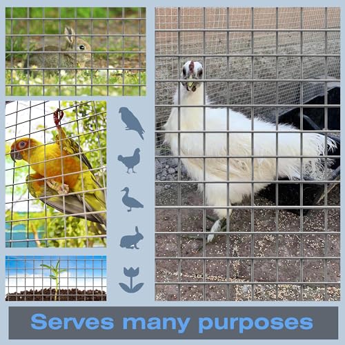 16GA Galvanized 16in x 50ft-1in x 1in Welded Wire Mesh Garden Economy Fence - size: 16"x50'-1"x1" 16GA Galvanized