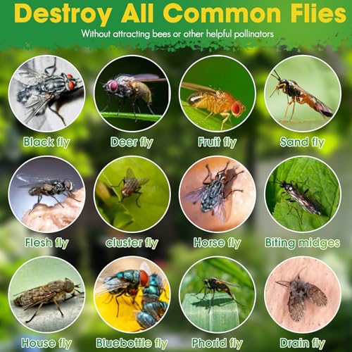 Outdoor Fly Traps, 2 Pack Reusable Hanging Fly Trap for Patio with 12 Non-Toxic Dissolvable Bait Refills, Insect Bug Catcher Killer for All Filth Flies with Ties for Outside Bug Control Yard Ranch