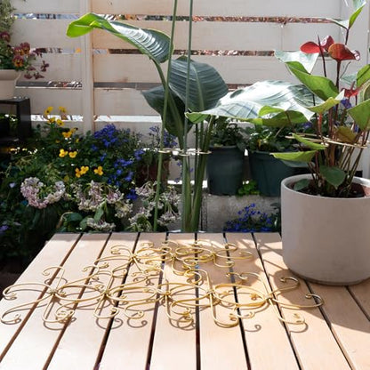 5PCS Monstera Plant Stem Support Stakes - 5.5 in Metal Supports - size: 5.5 x 5.5 inches