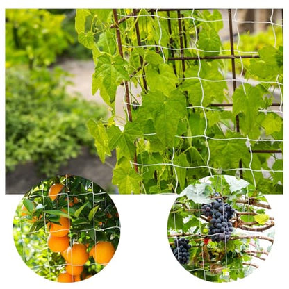 Trellis Netting, PDGROW Garden Plant Trellis Netting, 6 x 15 ft Heavy Duty Garden Trellis Netting, Outdoor Grow Net for Vines, Fruits, Vegetables, Grapes, Beans,Peas, 1 Pack - size: 6x15ft - 1 Pack