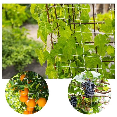 Trellis Netting, PDGROW Heavy Duty Garden Trellis Netting, 6 x 30 ft Trellis Netting for Climbing Plants, Outdoor Indoor Grow Net for Support Vine Vegetable Fruits and Flower, 4 Pack（Put in One Pack） - size: 6x30ft - 4 Pack
