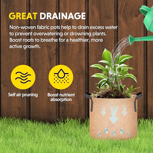 iPower Plant Grow Bag 7 Gallon 6-Pack Heavy Duty Fabric Pots, 300g Thick Nonwoven Fabric Containers Aeration with Nylon Handles, for Planting Vegetables, Fruits, Flowers, Tan 2024 Version - color: Tan, size: 7 Gallon