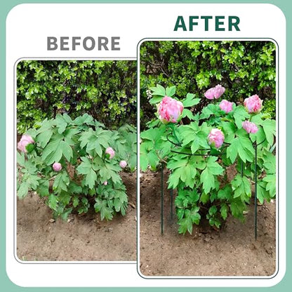 4 Sets Peony Support Cage,24"Diax32"High Heavy Duty Metal Plant Support,Grow Through Hoops Grids with 4 Thickened 6mm Legs,Strong Support Brace for Heavy Blossoms,Flower Support Ring for Peonies,Rose - size: 24"X32"-4PCS