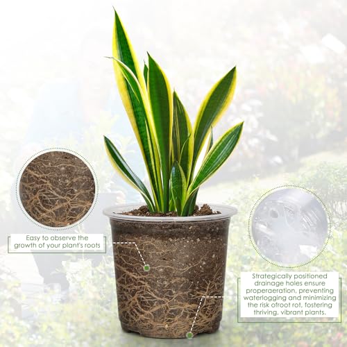 FUIJOL 5 Inch Clear Nursery Pots for Plants with Sacuers 15 Pack, Plastic Flower Pots with Drainage Holes, Variety Pack Seedlings Garden Pot for Indoor Outdoor (5 inch) - size: 5 inch