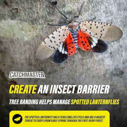 Catchmaster Tree Banding Insect Barrier DIY Kit, 15oz Pail & Spreader, Lanternfly & Ant Traps, Outdoor Adhesive Crawling Insect Trap to Protect Trees, Fruit & Plants - size: 1 Tub + Spreader