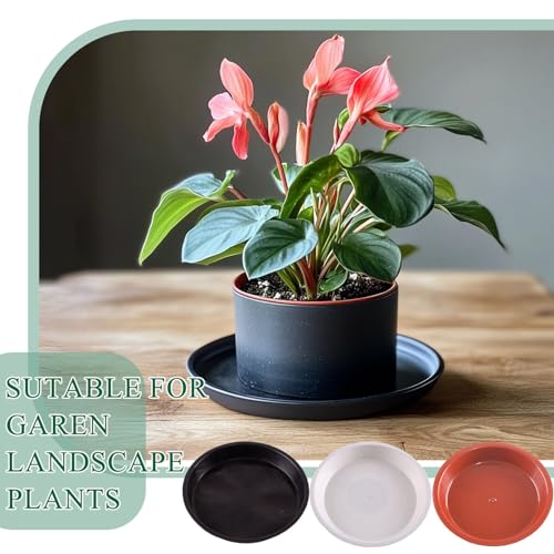 30 Pack Plant Saucer 4 Inches Plastic Drip Trays to Catch Water, Black - color: Black, size: 4 inch