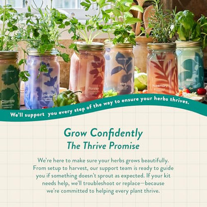 Modern Sprout Hydroponic Grow + Harvest Bundle - color: Basil Garden Jar + Sage Shears