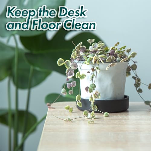 Phoenix Vine 4 Inch Plastic Plant Saucer Water Drip Tray, Heavy Sturdy Round Plant Drainage Tray for Indoors Outdoor, Set of 2, Matte Black, 21-TY-4B-2 - size: 4"