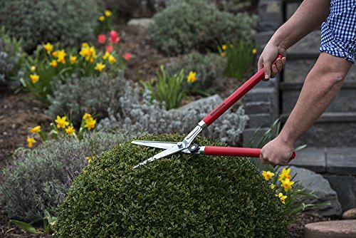 BERGER Hedge Shears – Professional 23.6" Garden Clippers with Chromium-Plated Blades, Sap Groove for Clean Cuts, Adjustable Blade Tension, Beechwood Handles – 2520 - size: 60.5x18.5x5 cm