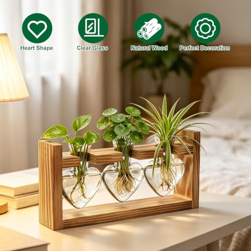 Plant Terrarium Propagation Station Air Planter Bulb Glass Vase with Wooden Stand 3 Heart Shaped Glass Vases