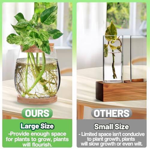 Biggun 2 Pcs Glass Plants Propagation Stations for Home Office Decor