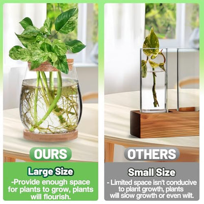 Biggun 2 Pcs Glass Plants Propagation Stations for Home Office Decor