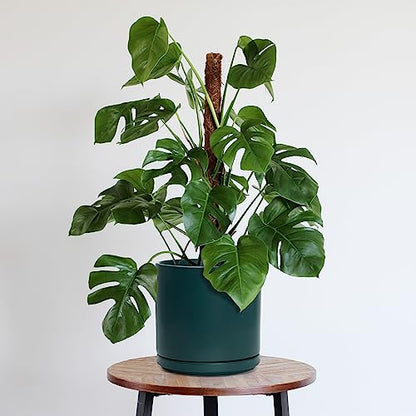 D'vine Dev 10 Inch Ceramic Planter Pot, Teal, 94-O-E-9 - color: Teal, size: Large