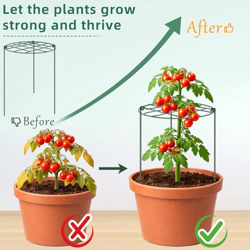10 Pack 12 x 16 Inch Peony Cages and Supports for Outdoor Plants - size: 10pack/12 x 16 inch