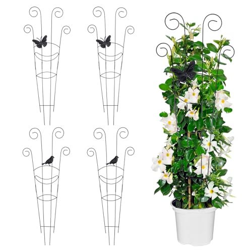 4 Pack 30 Inch Taller Plant Trellis for Potted Climbing Plants Indoor, Black Metal Garden Trellis with Butterfly & Bird Designs - Sturdy Expandable Plant Support for Ivy, Pothos, Monstera
