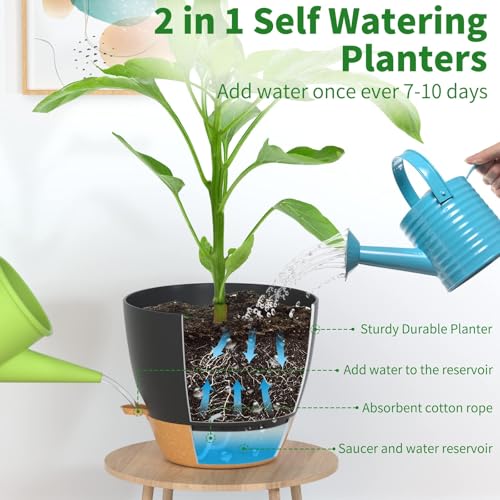 12/10/9/8/6 Inch Self Watering Pots for Indoor Outdoor Plants, Set of 5 Large Plastic Planters with Visual Water Window, Drainage Holes & Watering Lip, Modern Decorative Flower Pots (Black) - color: Black, size: 6/8/9/10/12 Inch