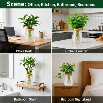 Desktop Plant Hydroponic Vases, Water Plant Jars, Gardening Gifts for Office and Home, Outdoor, Transparent Ripple Pattern - color: Transparent Ripple Pattern