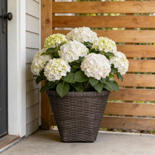 16 Inch Dark Brown Resin Planter, 100% Recycled Plastic Flower Pot