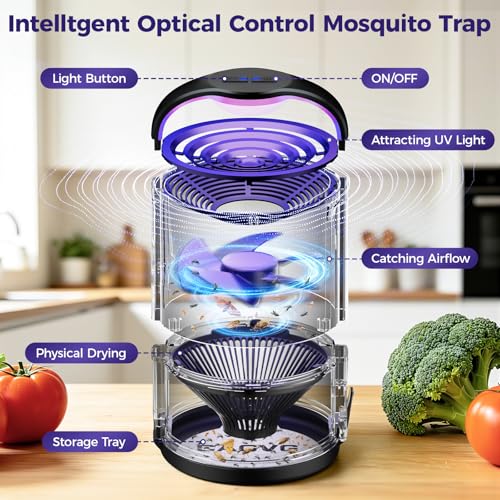 Fly Trap Indoor, Fruit Fly Traps for Indoors Suction &Adjust Light, Black - color: Black