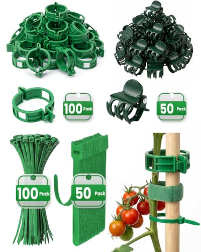 300Pcs Green Tomato Clips,Plastic Trellis Clips,Reusable Plant Support Clips for Tomatoes,Cucumbers,and Vines,Garden Supplies for Vertical Growing - color: Green