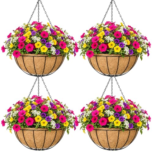 EIMQUVW Outdoor Metal Hanging Planters Basket (4pack, 10 inch) Hanging Baskets for Plants Chain Round Wire Plant Holder with Coco Fiber Liners for Garden, Patio, Deck, Porch - size: 10 Inch