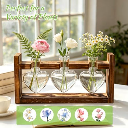 Plant Terrarium Propagation Stations with Heart Hydroponic Vase