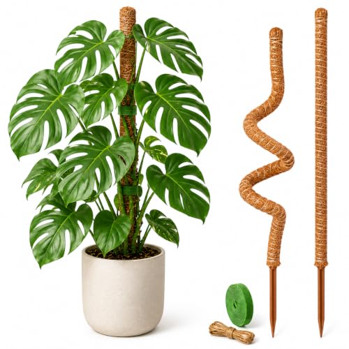 Moss Pole Monstera Plant Support, 28inch Bendable Coir Pole for Climbing Plants, Heavy-Duty Trellis Plant Sticks for Indoor Potted Plants,Includes Jute Rope & Straps - size: 2 Pack 28-Inch -B